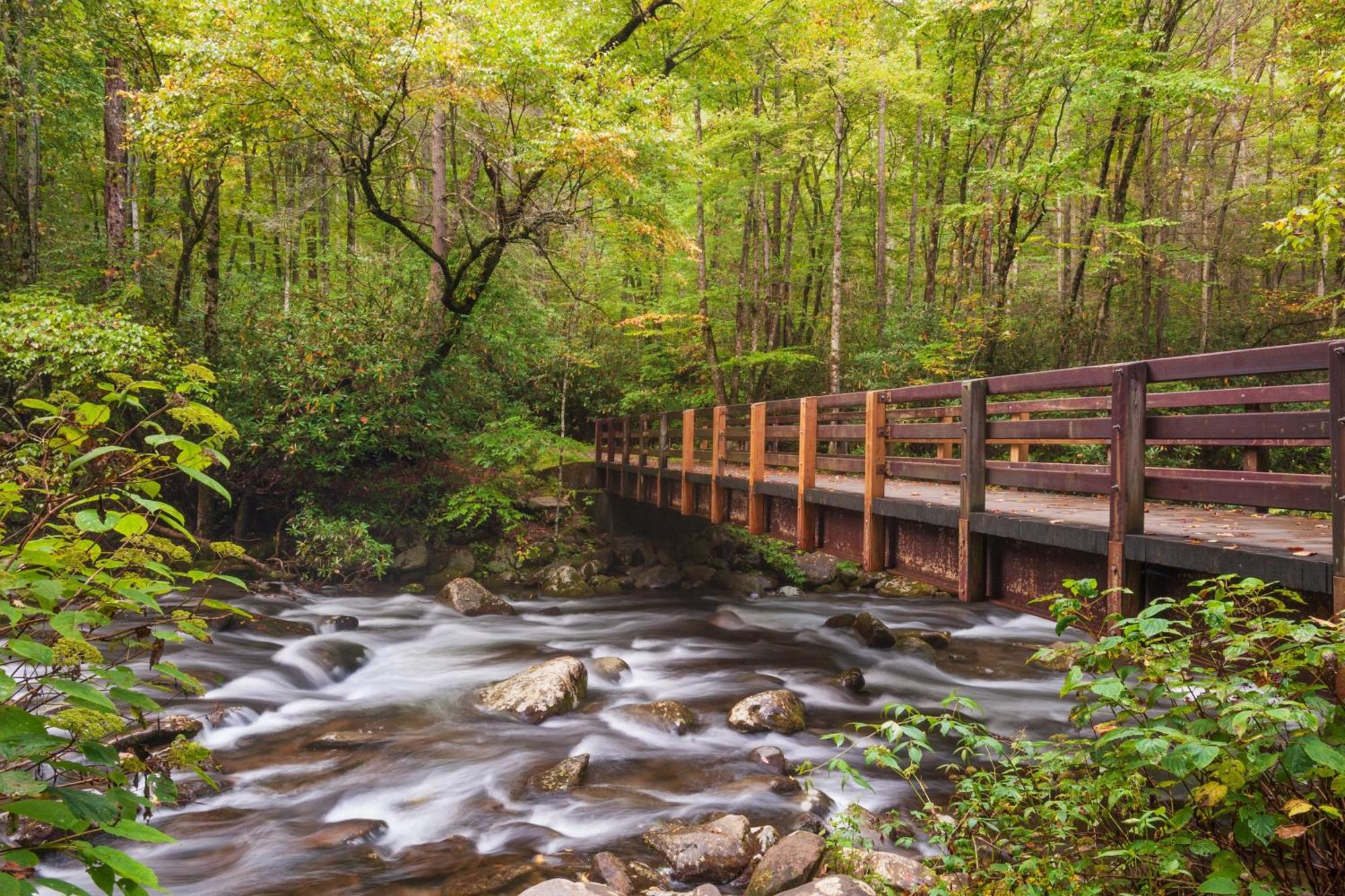 The Cozy Cove, Hot Tub, Wifi, 1089 Free Tickets Each Paid Day, Dollywood And More Сев'єрвілл Екстер'єр фото